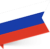 Русский для иностранцев в Перми